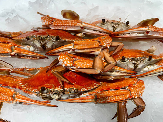 Pack of sand crabs for sale, ideal for eating and recipes