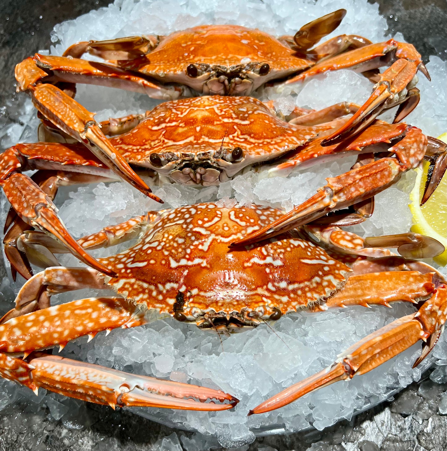 Sand Crabs Cooked each