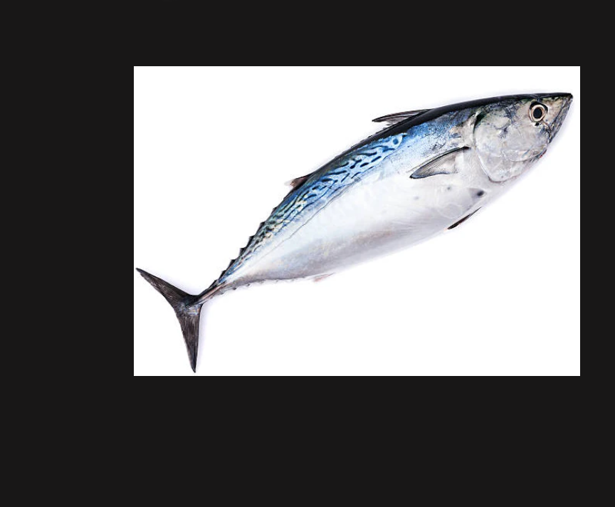 Fresh Whole Bonito each.