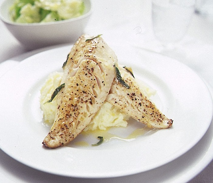 Gurnard fillets Fresh 1kg Pack