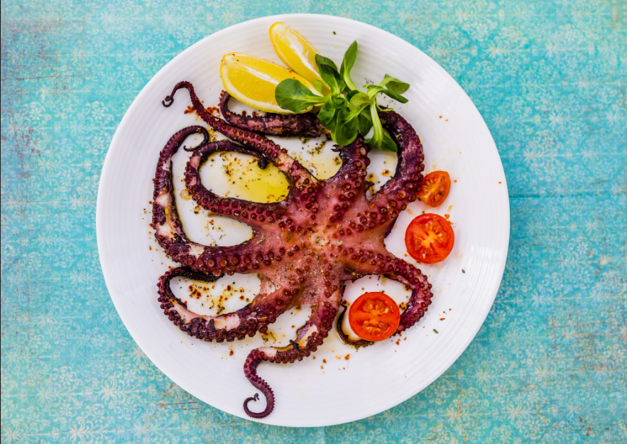 Octopus Large 1kg Pack