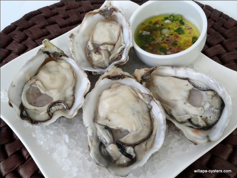 Oysters Pacific Fresh Per Dozen