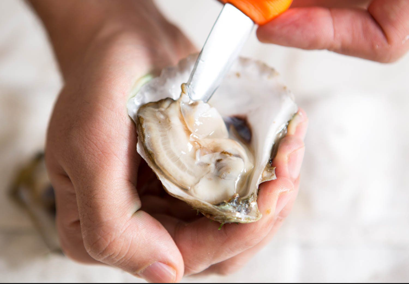 oysters unshucked per dozen