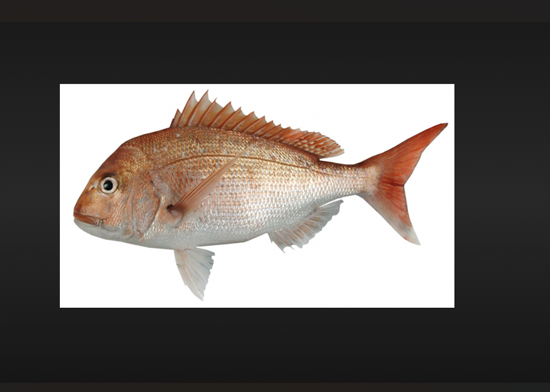 Fresh Whole Local Snapper 750gm each.