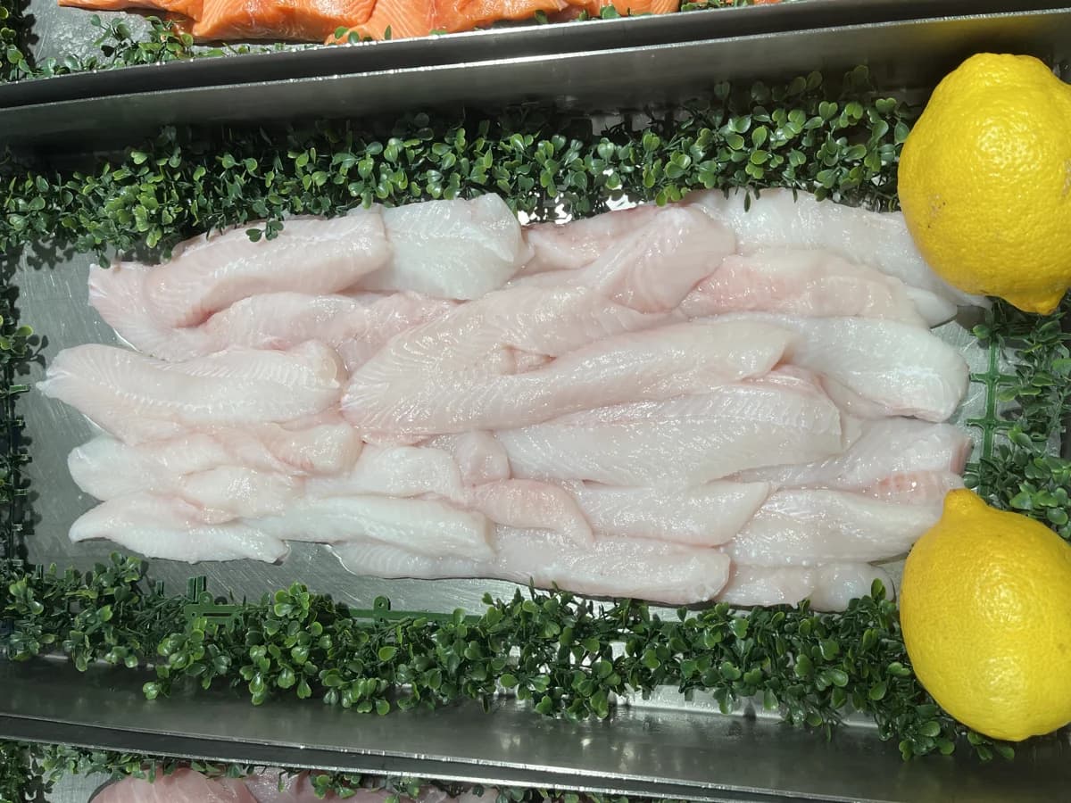 Barramundi Trend Recipes for 2026: Why This Fish Keeps Winning in Australia