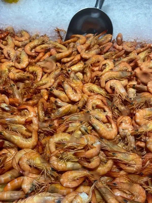5 Easy Easter Seafood Recipes for the Whole Family