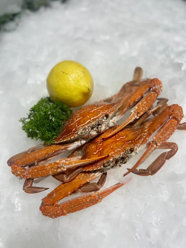 Cooked Sand Crab