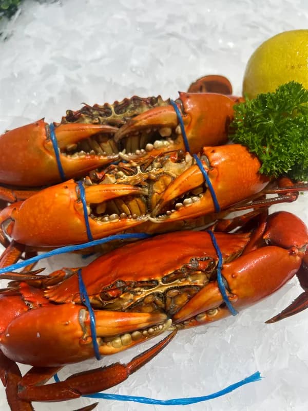 Mud Crab Cooked 1kg -1.5kg