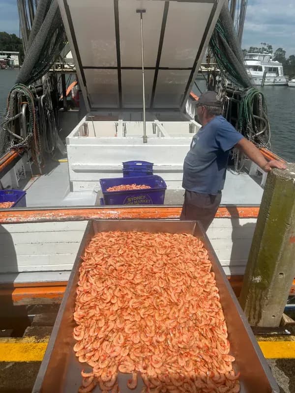 Sustainable Seafood in 2026: What Gold Coast Buyers Care About Most