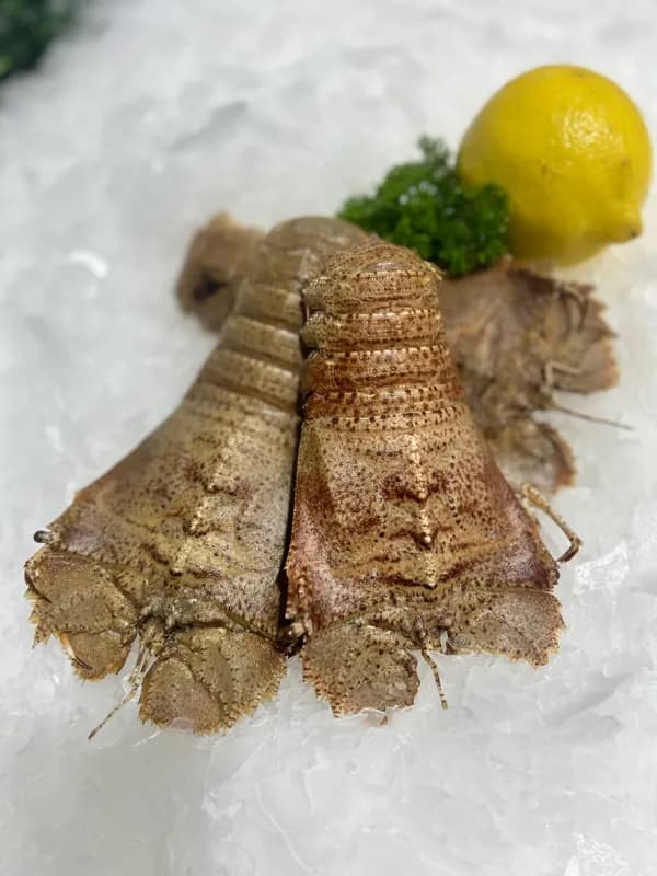 XL Raw Moreton Bay Bugs 400g-500g