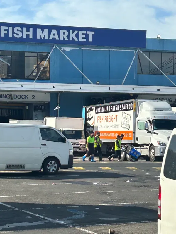 Refrigerated Transport Vehicles