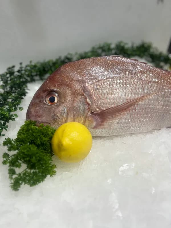Whole Snapper