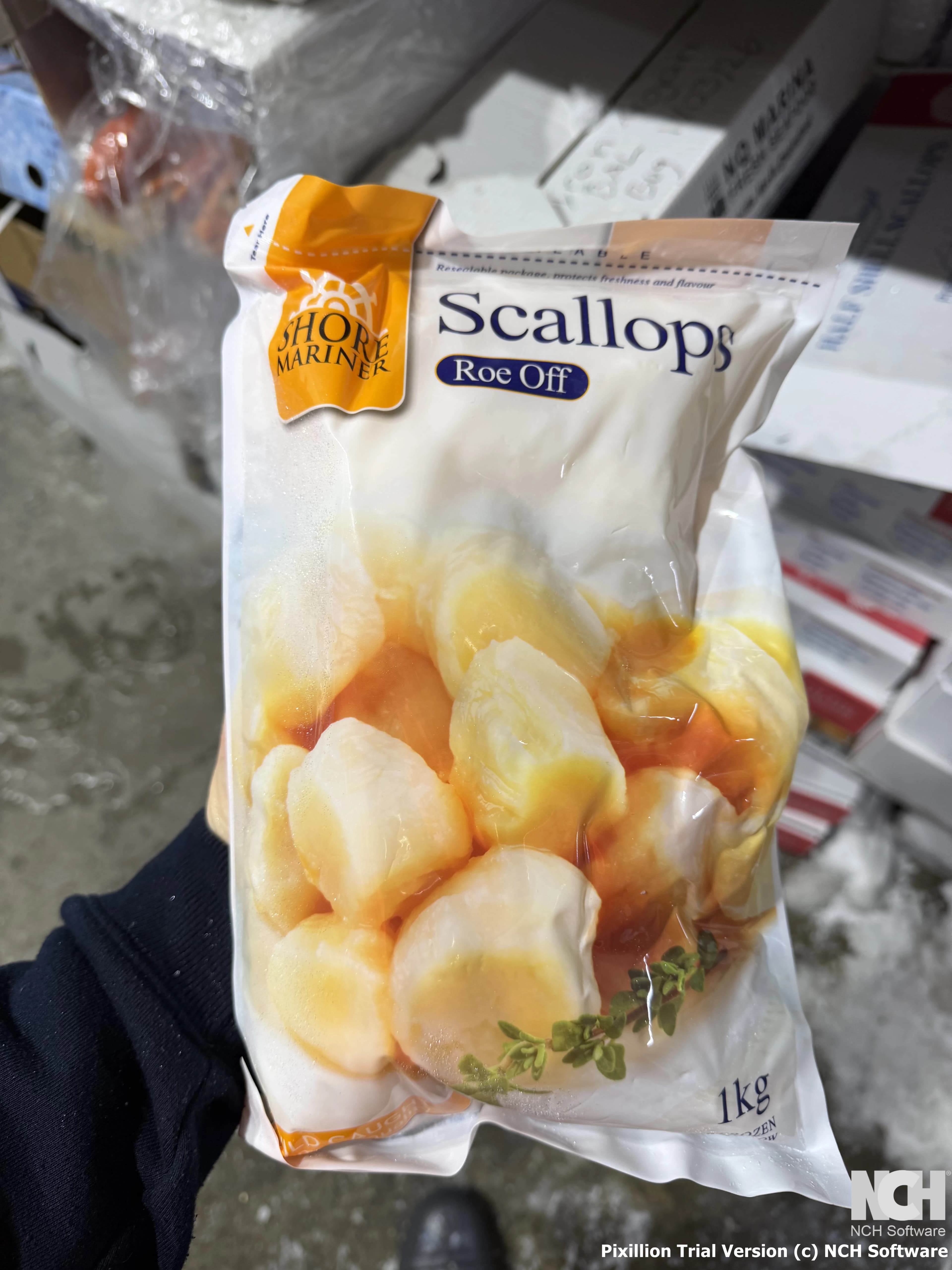 1kg Roe Off Scallop (Frozen)