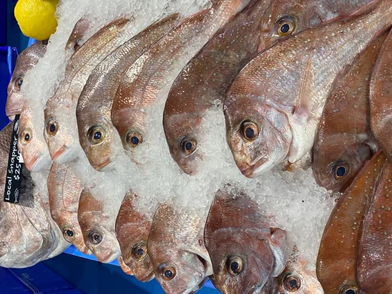 Local Snapper Fillets