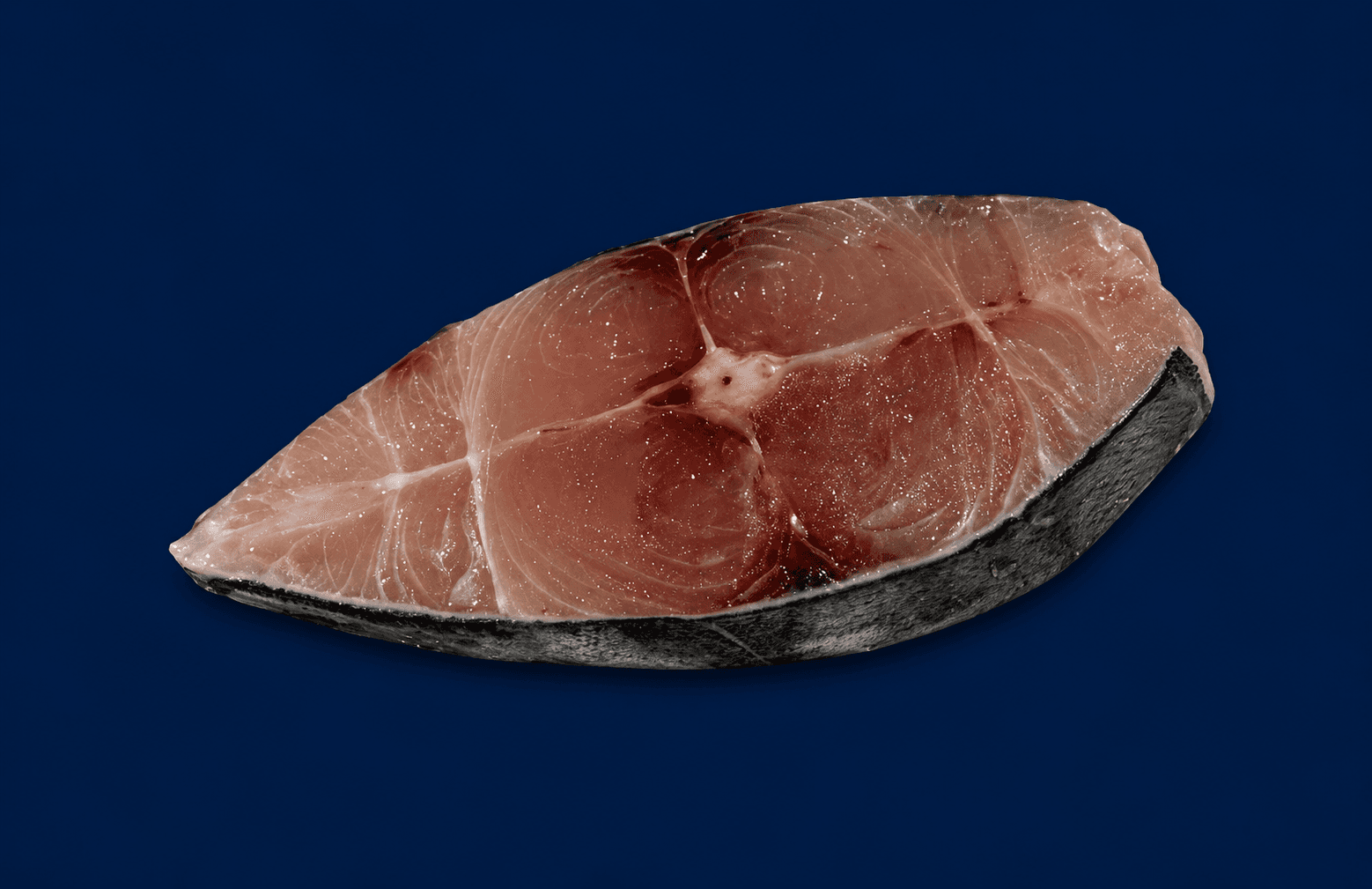 Mackerel Cutlets 1KG, fresh Fish (Fillets & Steaks) from Tasman Star Seafood, Gold Coast