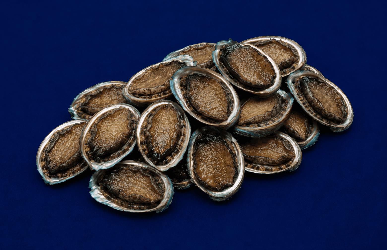 Live Abalone Small 30g-80g, fresh Live Seafood from Tasman Star Seafood, Gold Coast