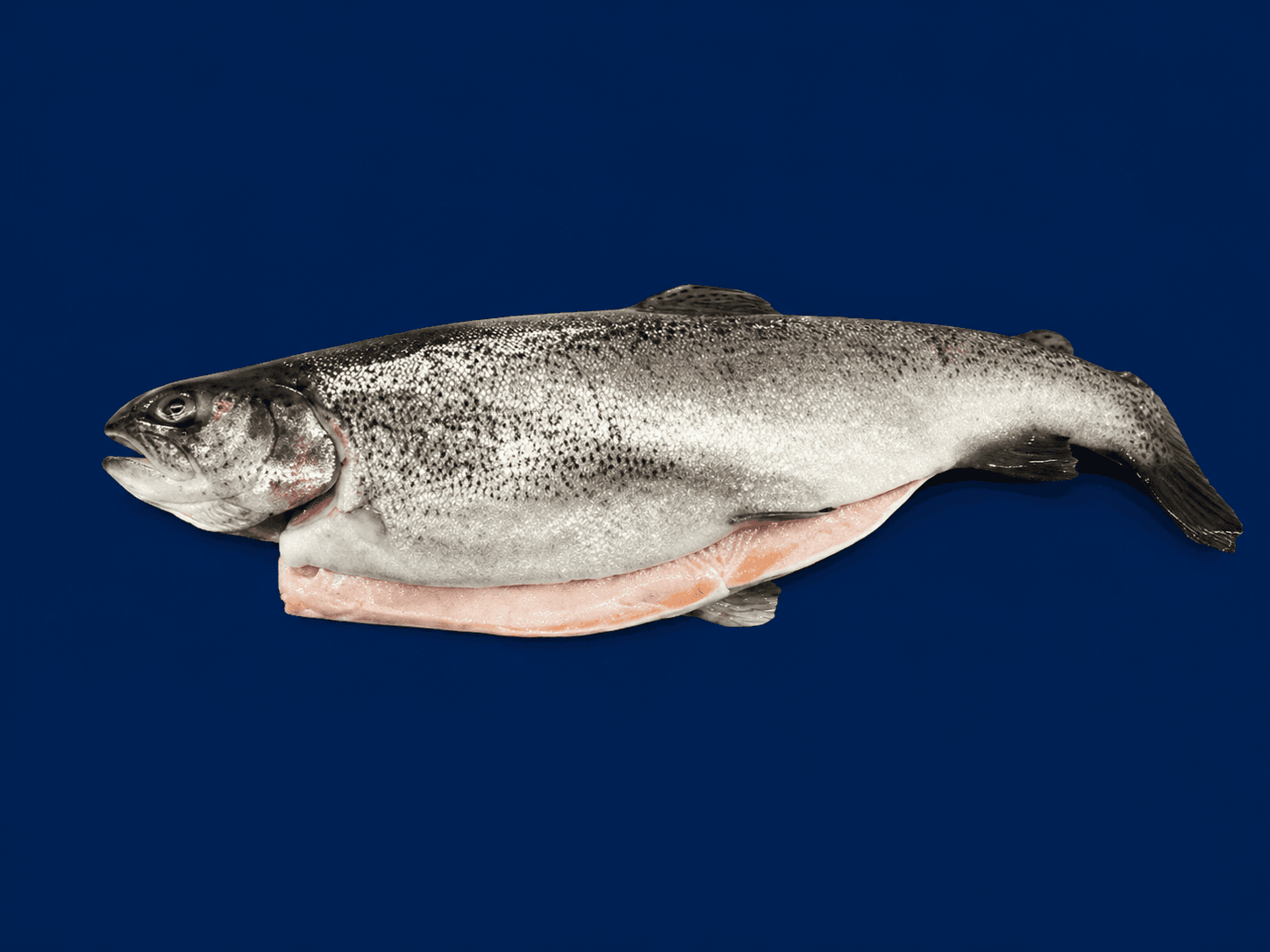 Rainbow Trout Whole, fresh Fish (Whole) from Tasman Star Seafood, Gold Coast