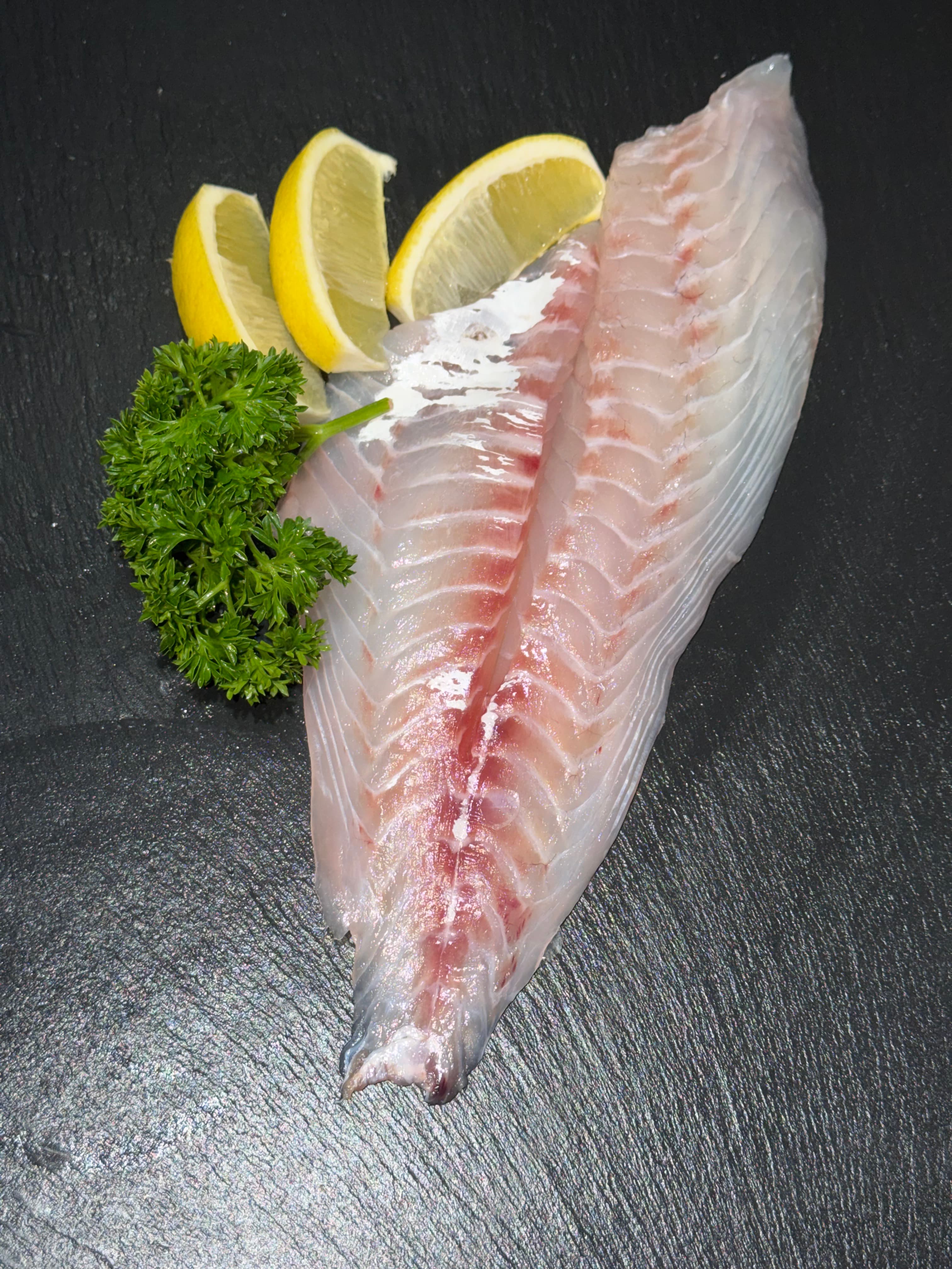 Knobby Snapper Portion 2kg (per kg), Fish (Fillets & Steaks) at Tasman Star Seafood, Gold Coast