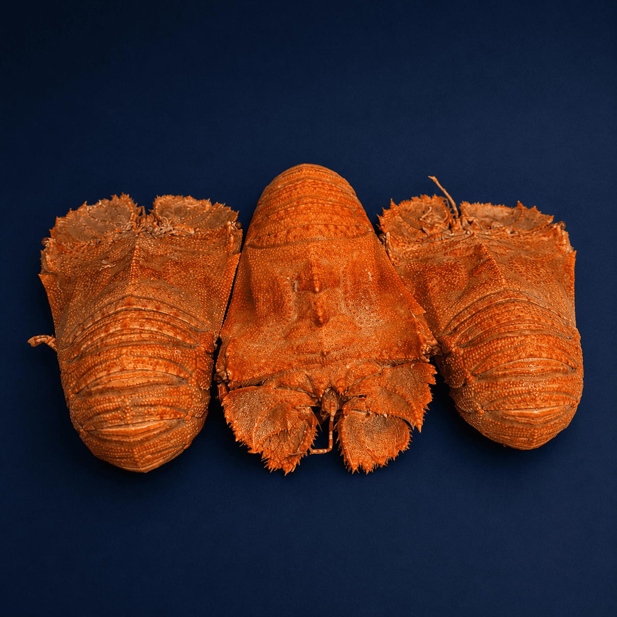 Moreton Bay Bugs: How to Buy, Prep and Cook Them