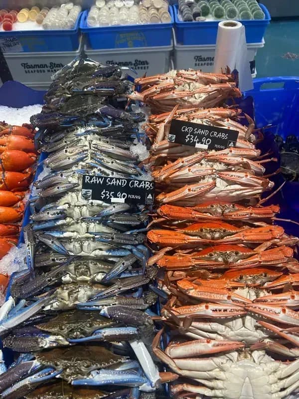 Mud Crab vs Sand Crab vs Spanner Crab: Which to Buy?