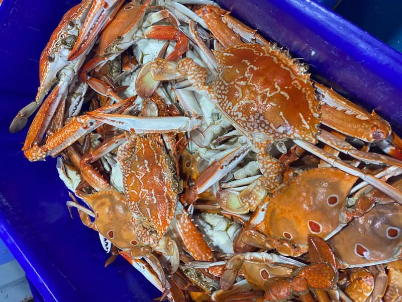 How to Clean and Prepare Crab (and Pick the Meat)