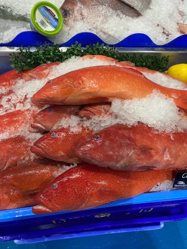 Best Fish for Good Friday: A Gold Coast Local's Guide