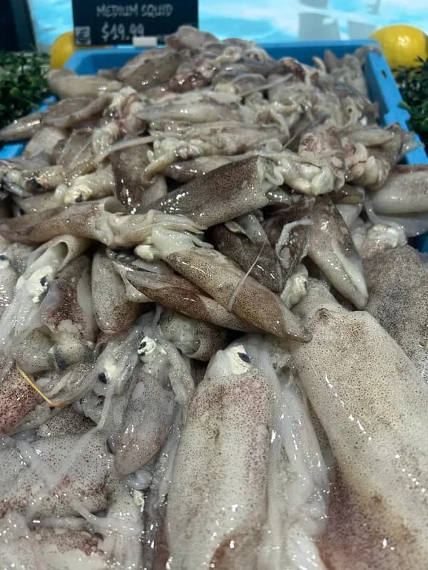 How to Brine Calamari in Saltwater & Ice (for Tender, Sweet Squid)