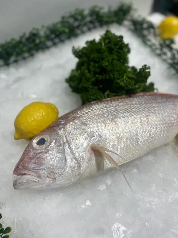Why Australians Eat Seafood on Good Friday: Tradition and Tips