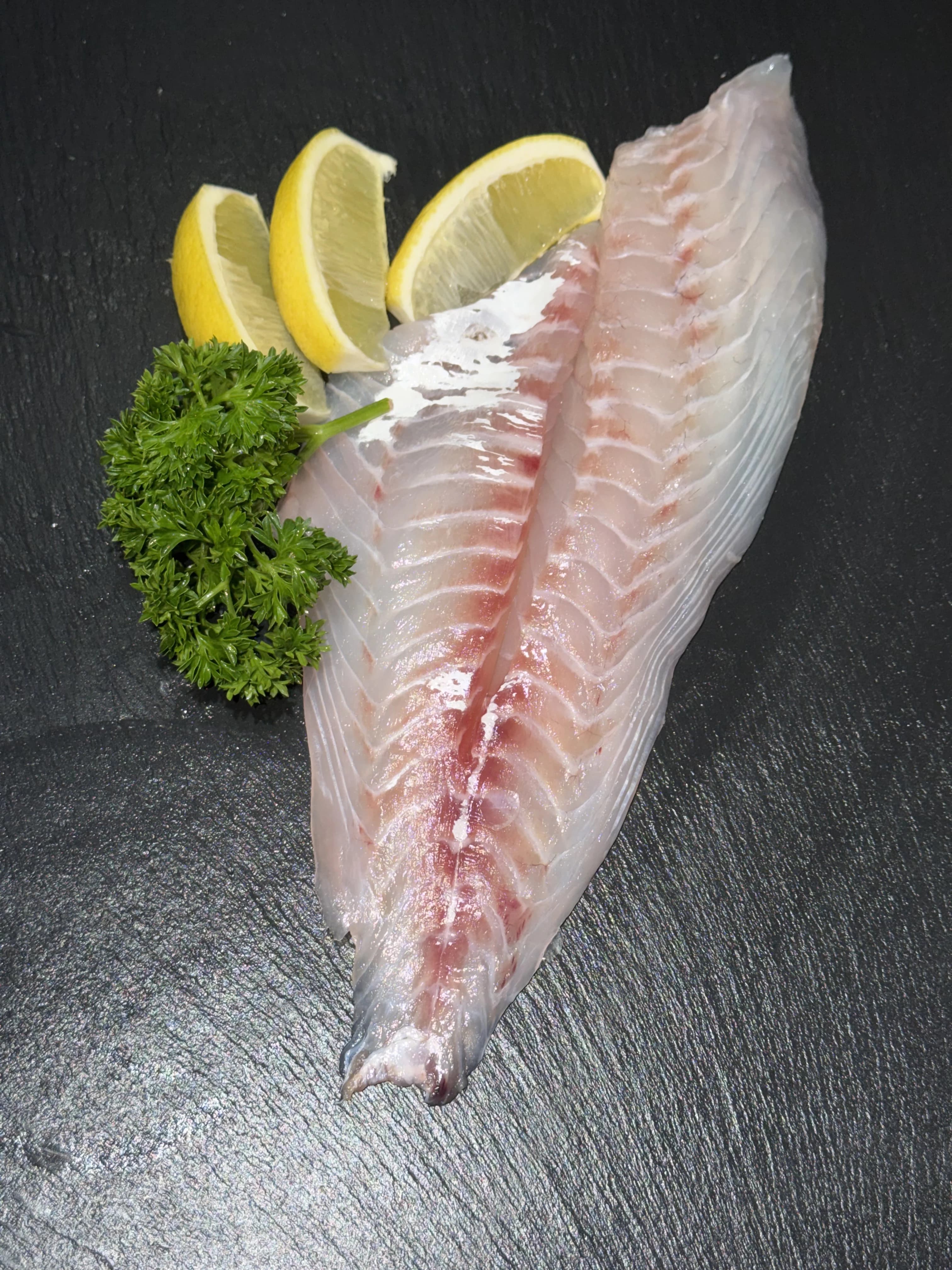 Knobby Snapper Fillet