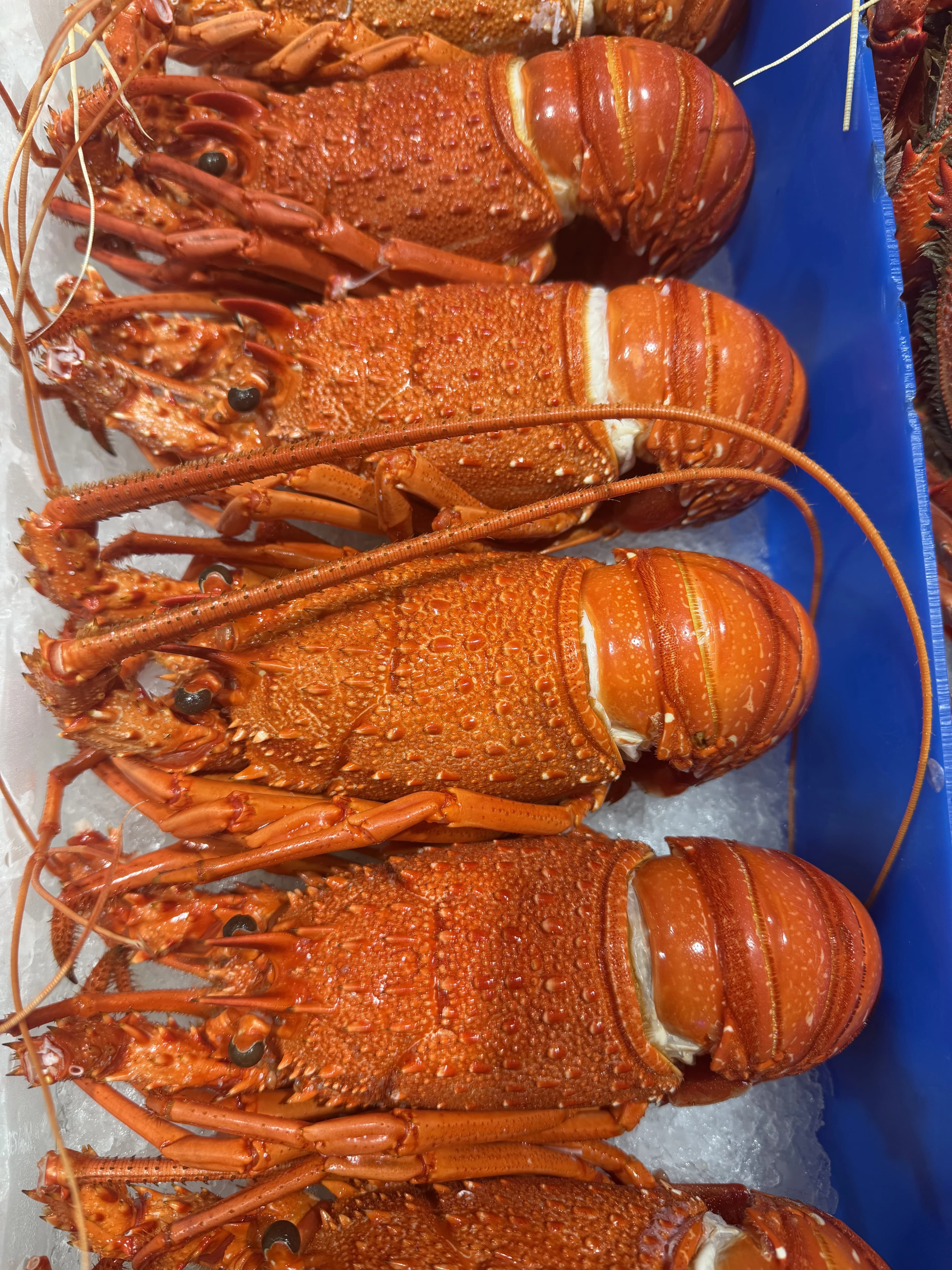 WA Crayfish Cooked (Frozen)