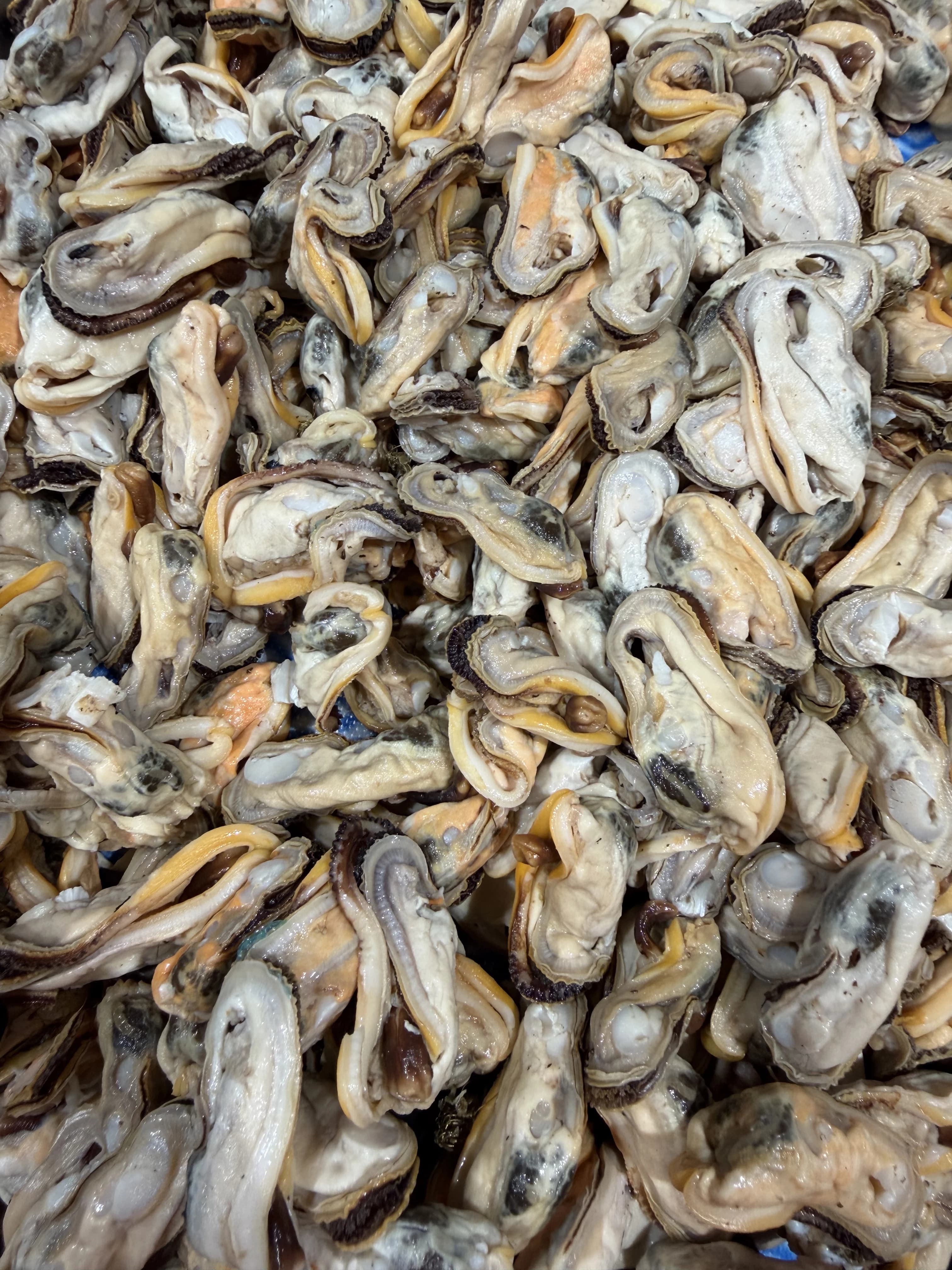 Greenlip Mussel Meat