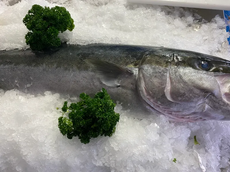 Whole fresh fish on ice