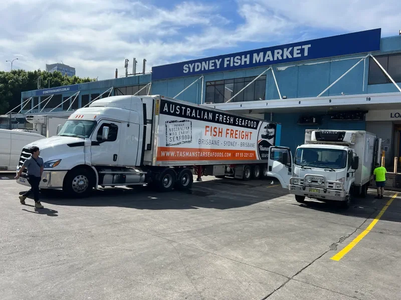 Tasman Star trucks at Sydney Fish Market