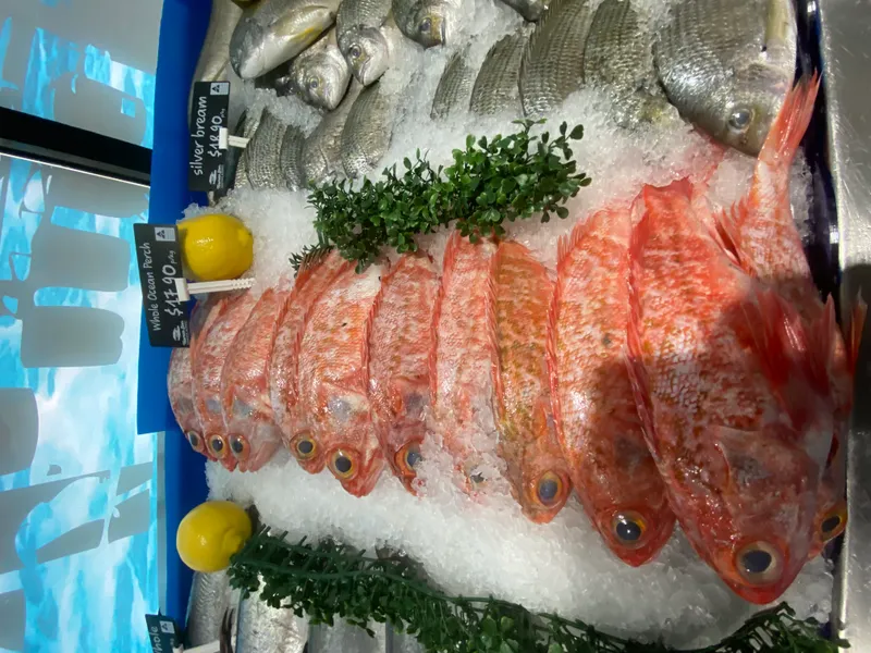 Ocean perch and snapper display