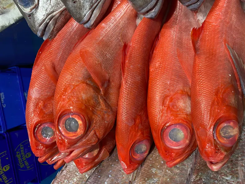 Vibrant Alfonsino display