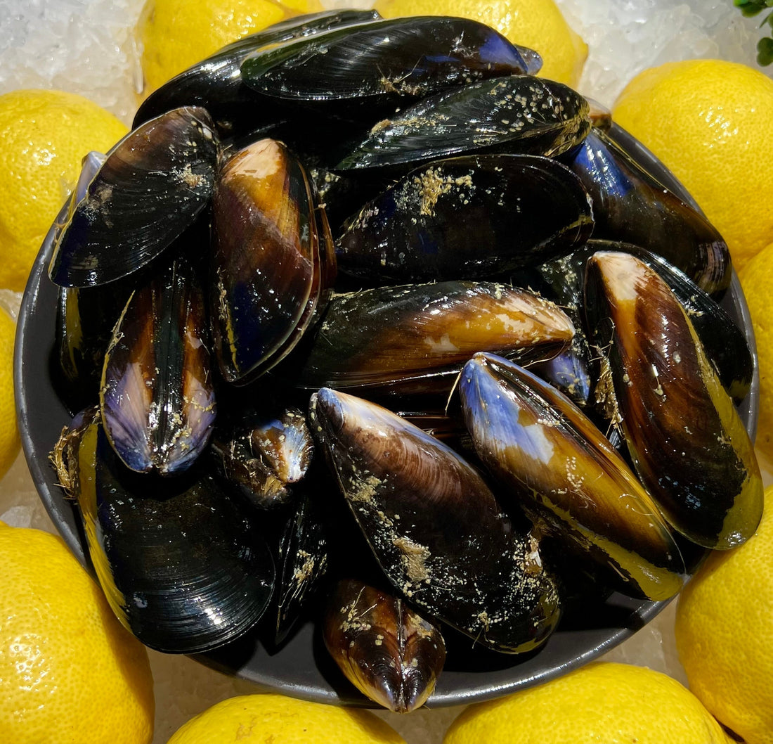 Fresh raw mussels at seafood market