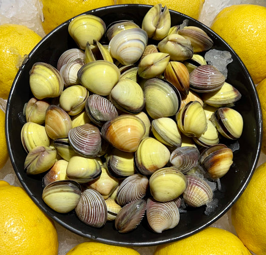 clams 1kg Pack