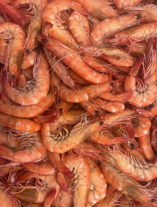 Prawns King Cooked Fresh Medium 1kg Pack.