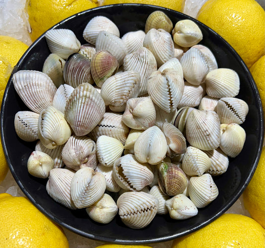 Hart Clams 1kg Pack