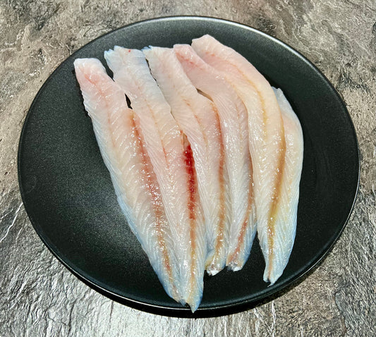 Gurnard fillets Fresh 1kg Pack