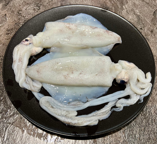 Calamari Southern Fresh 1kg Pack