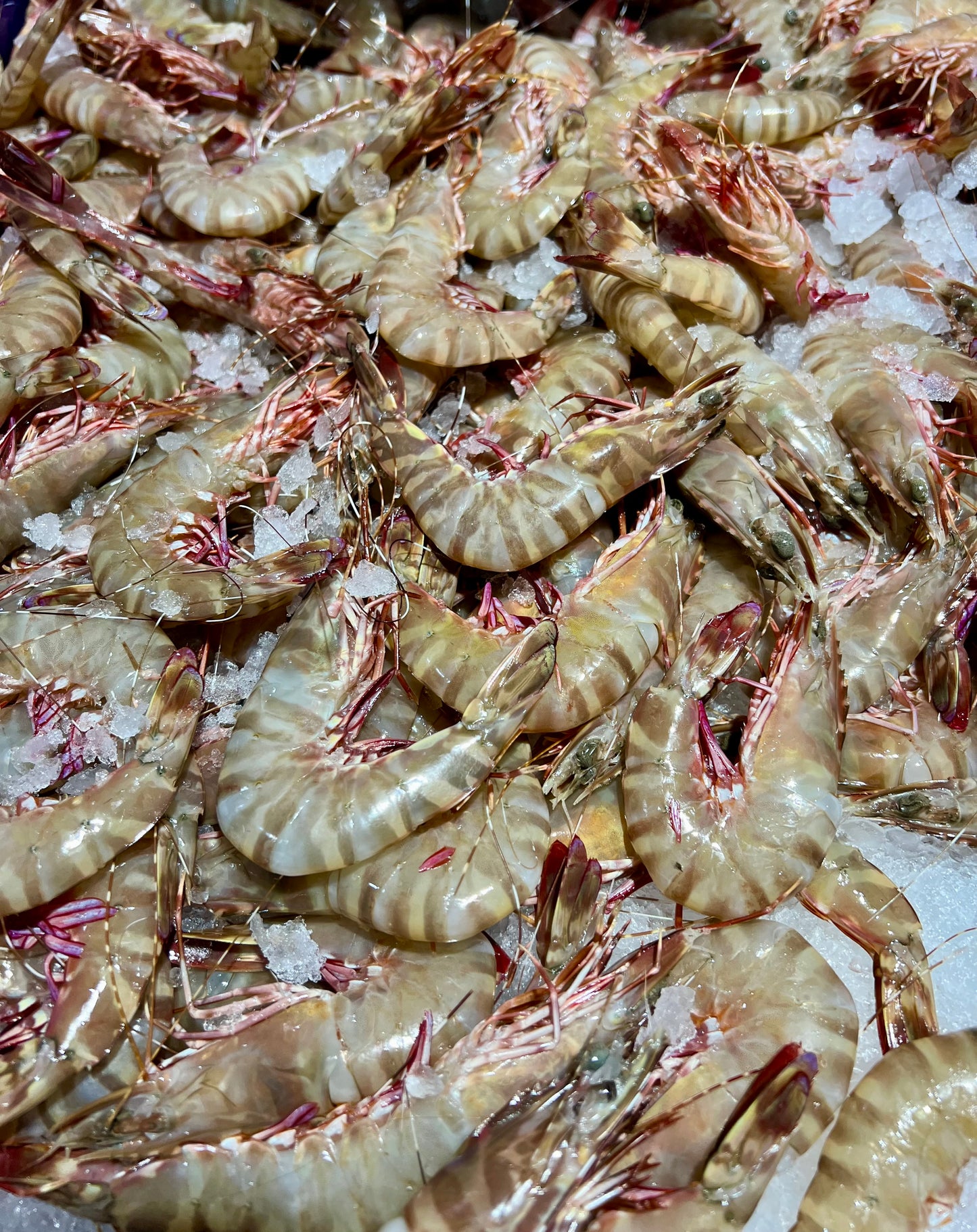 Prawns Tiger Raw Medium 1kg Pack.