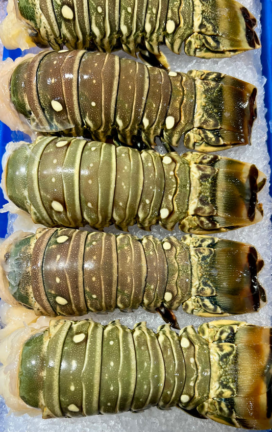 Lobster Tails Raw each (average weight 180gm)