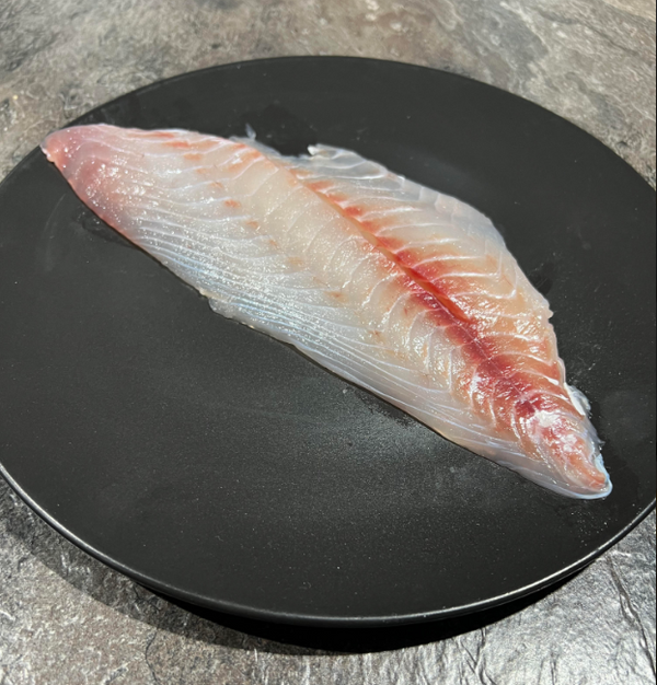 Fresh Snapper Fillet, One only portion. – Tasman Star Seafood Market