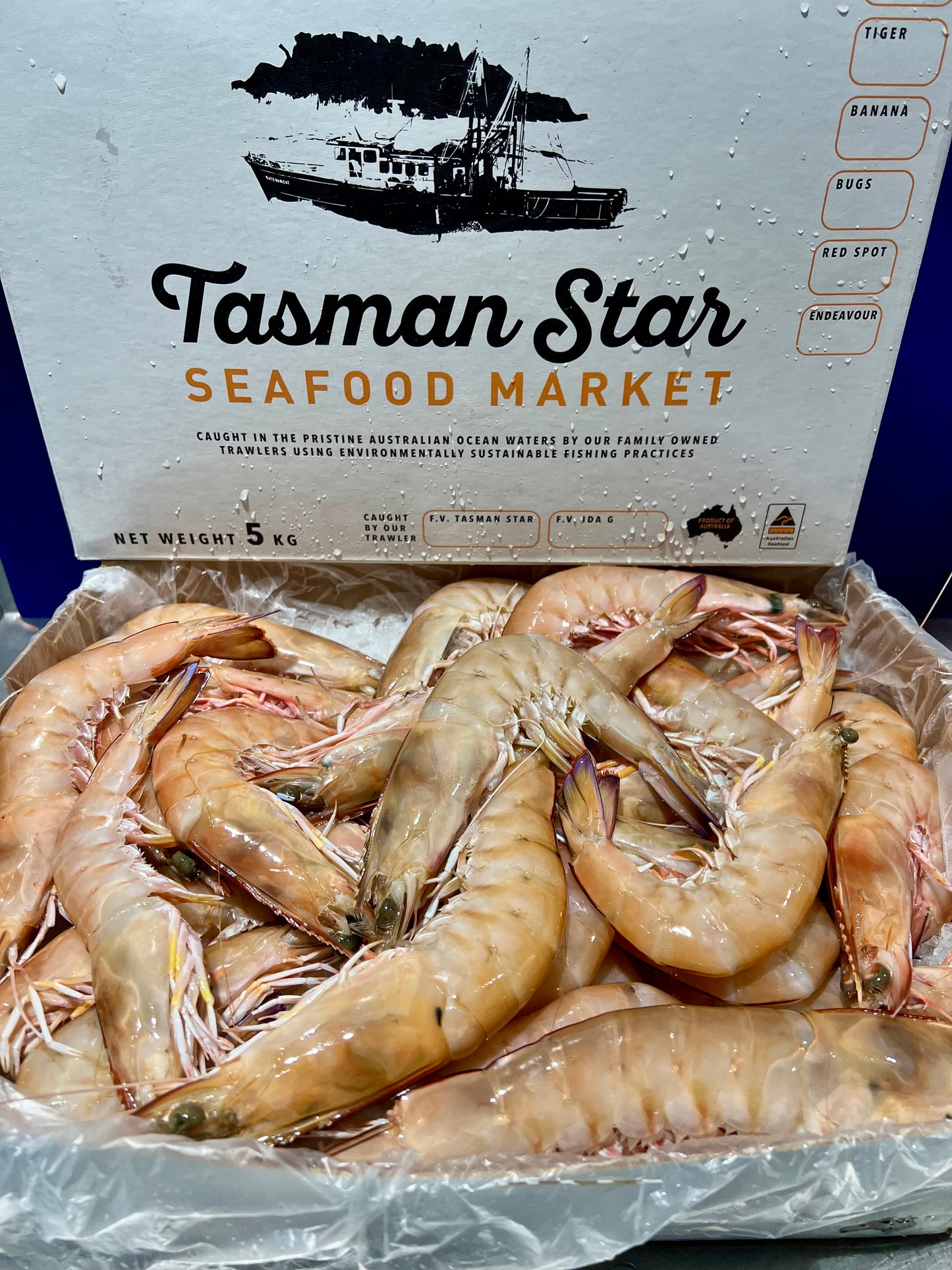 Prawns King Raw U10 5kg carton.