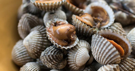 Cockles Fresh 1kg Pack