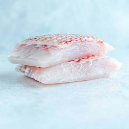 Coral Trout Fillets Fresh 1kg Pack