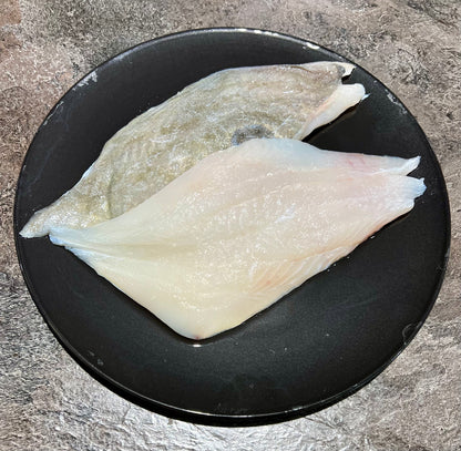 John Dory Fillets Fresh 1kg Pack