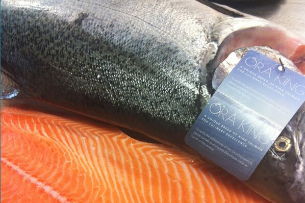 Fresh King ora Salmon per 500gm pack sliced.