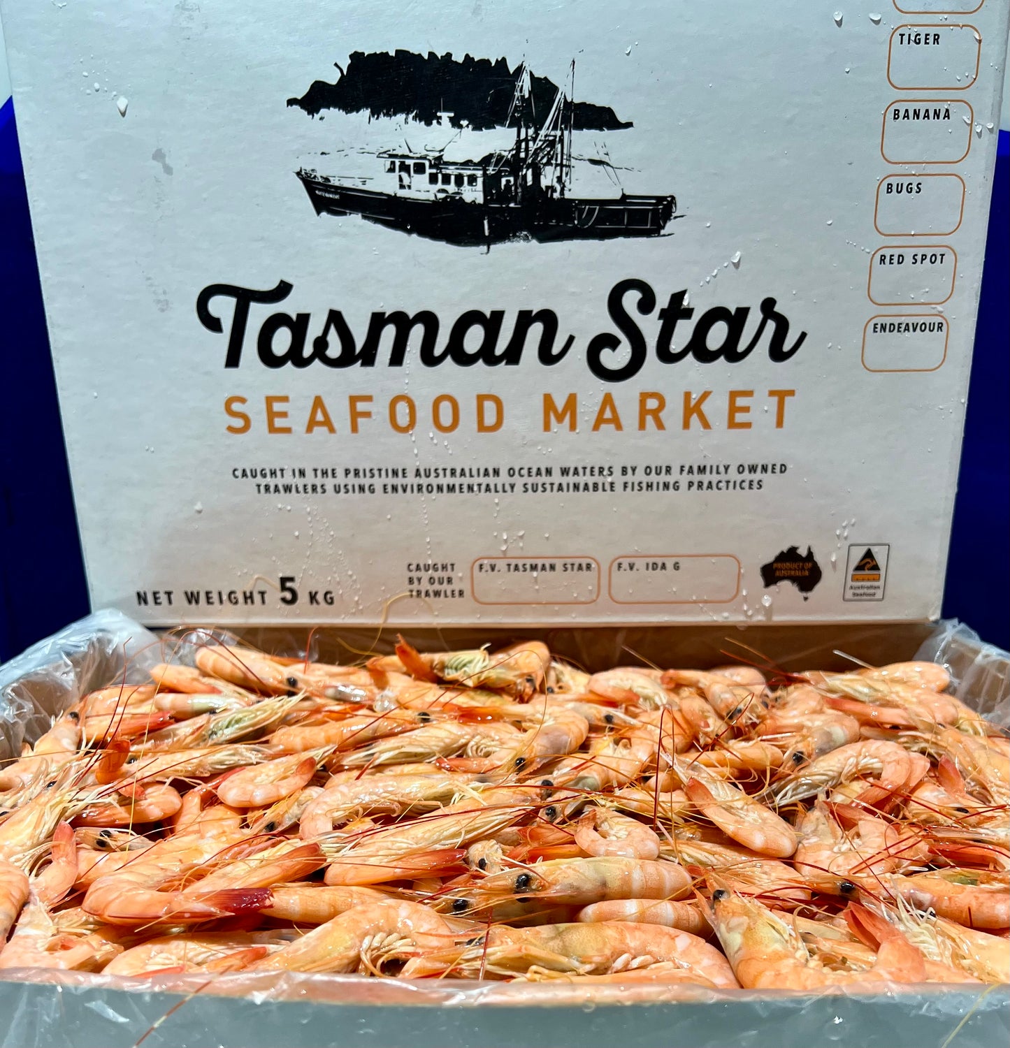 School Prawns Cooked 5kg carton.